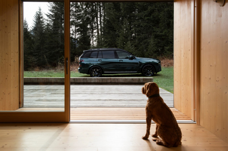 BMW X7 Poldo Dog Couture